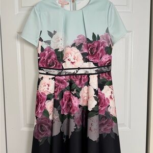 Ted Baker Light Blue and Floral Women's Dress